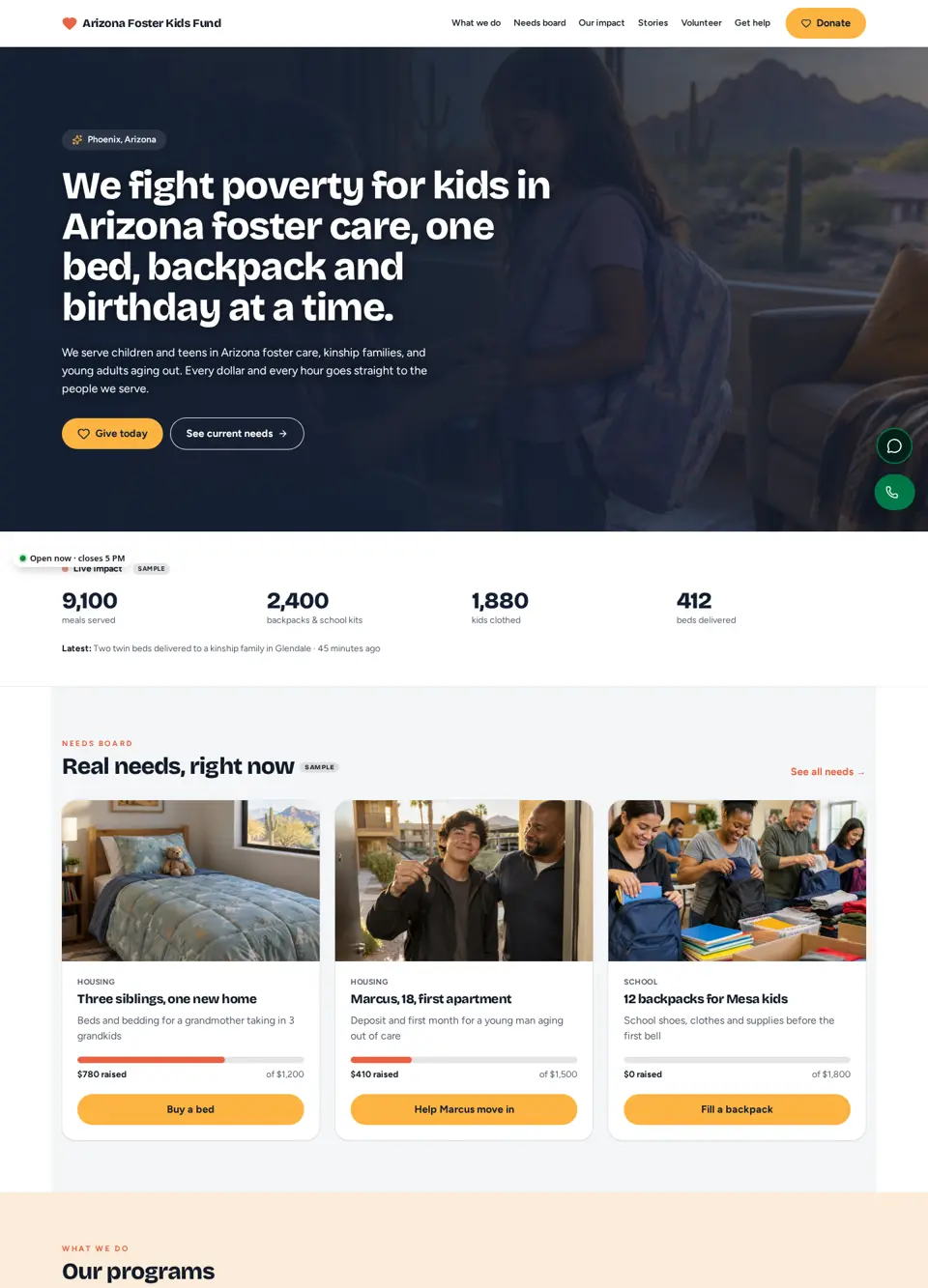 Nonprofit sample website